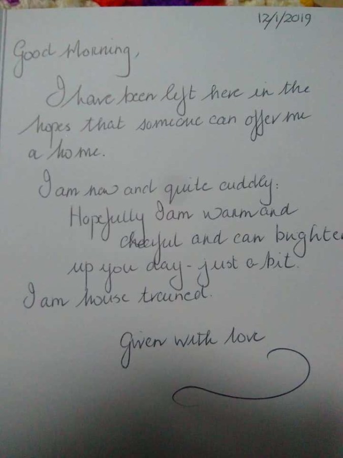 50456919_10155773504176150_1577180508704473088_n