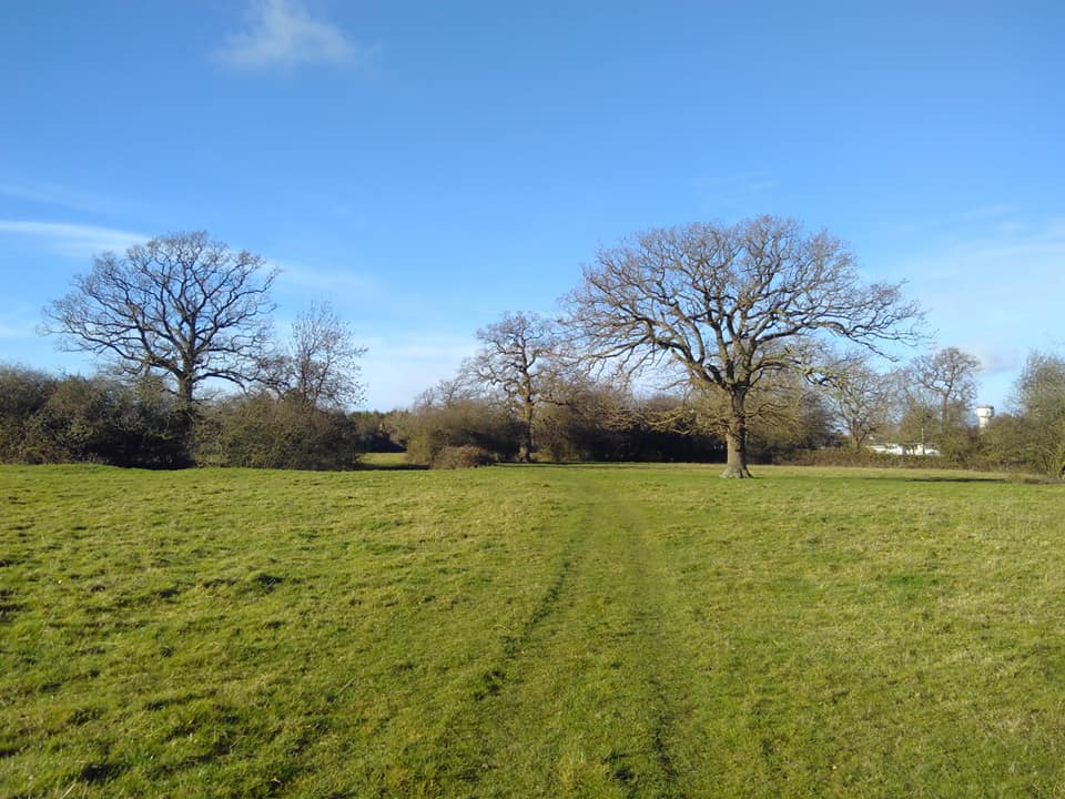 50549149_10155773503746150_5905227900516302848_n